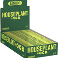 OCB Houseplant Bamboo 1 1/4 Rolling Papers Box